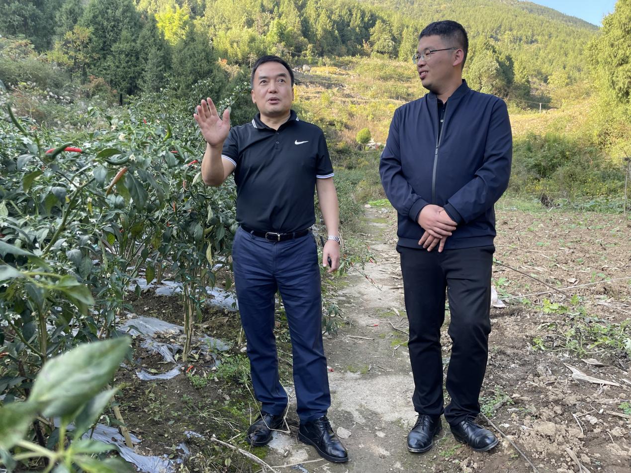 槽心村辣椒基地,祝柏村蓄水池 槽心村辣椒基地,祝柏村蓄水池